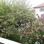 Gardenia
