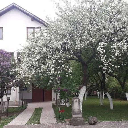 Gardenia * Sarajevo