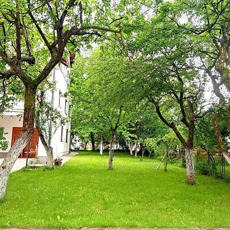 Gardenia 塞拉耶佛