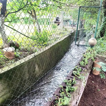 Gardenia Villa *