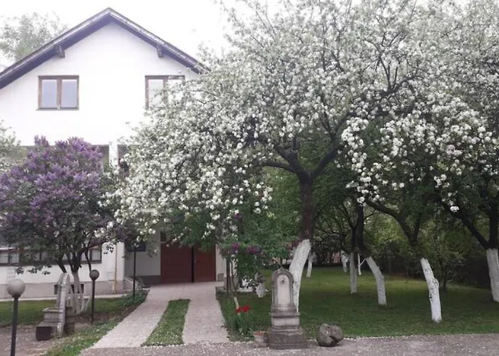 Gardenia * 塞拉耶佛