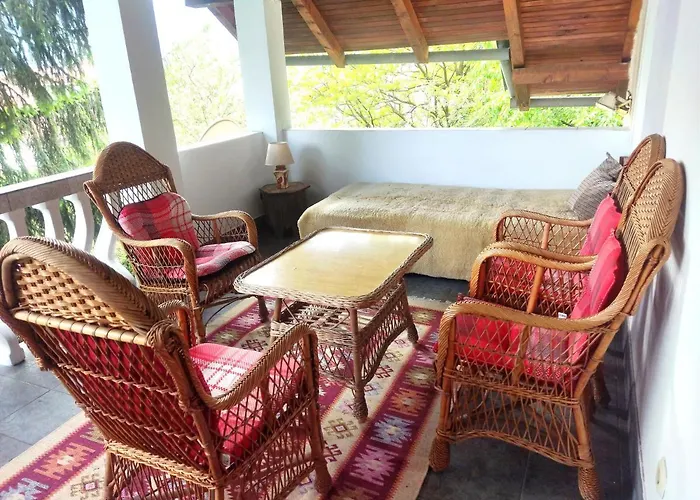 Gardenia 塞拉耶佛